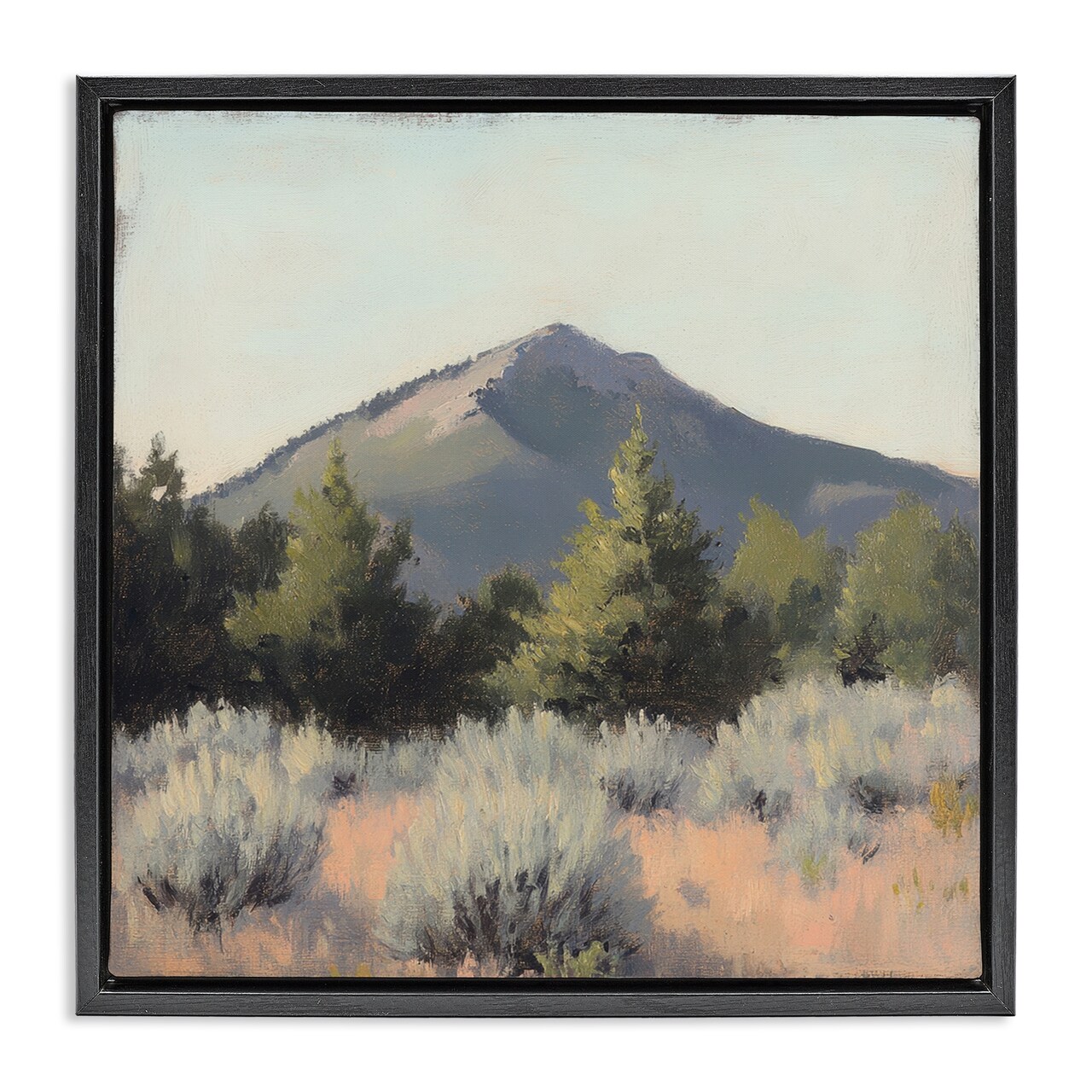 Stupell Industries Tucson Mountain Landscape Floating Frame, design by Petal Prints Design